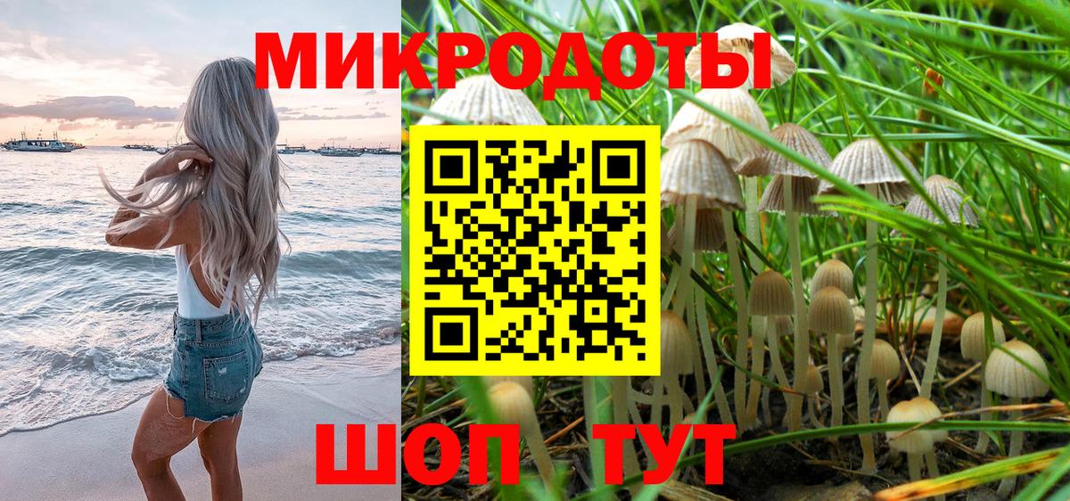 Елабуга  Галлюциногенные грибы мицелий  Вход с VPN 